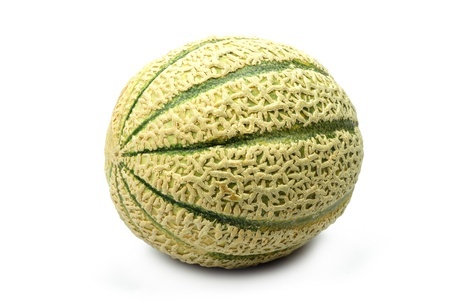 HORTALIZA MELON